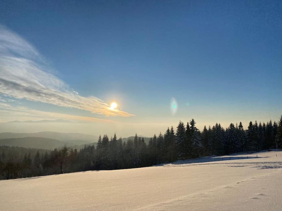 Blizej Nieba Koskowa Gora Villa Bogdanowka Kültér fotó