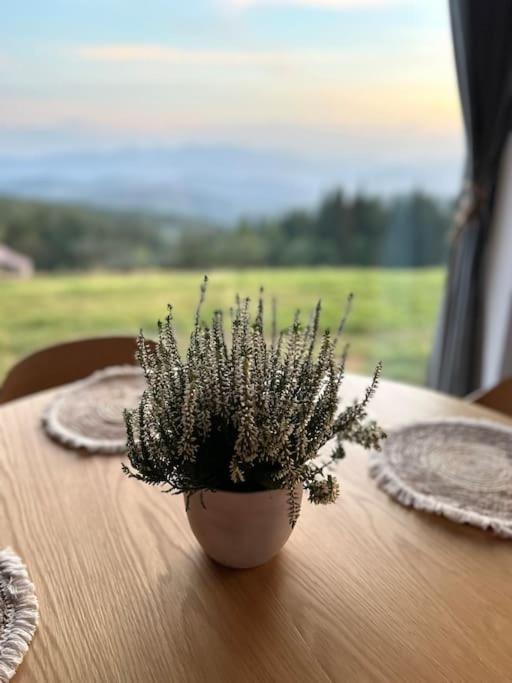 Blizej Nieba Koskowa Gora Villa Bogdanowka Kültér fotó