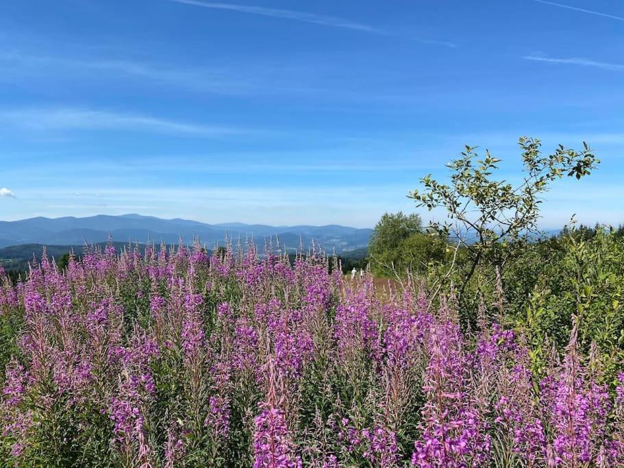 Blizej Nieba Koskowa Gora Villa Bogdanowka Kültér fotó